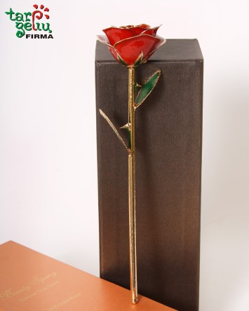 Auksu dengta raudona rožė