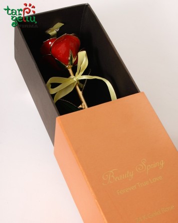 Auksu dengta raudona rožė