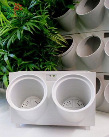 Vertikalaus želdinimo...