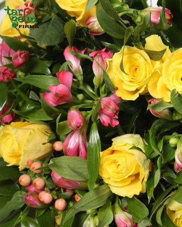 Puokštė "Jaunystė"