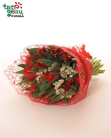 Bouquet of Red Tulips