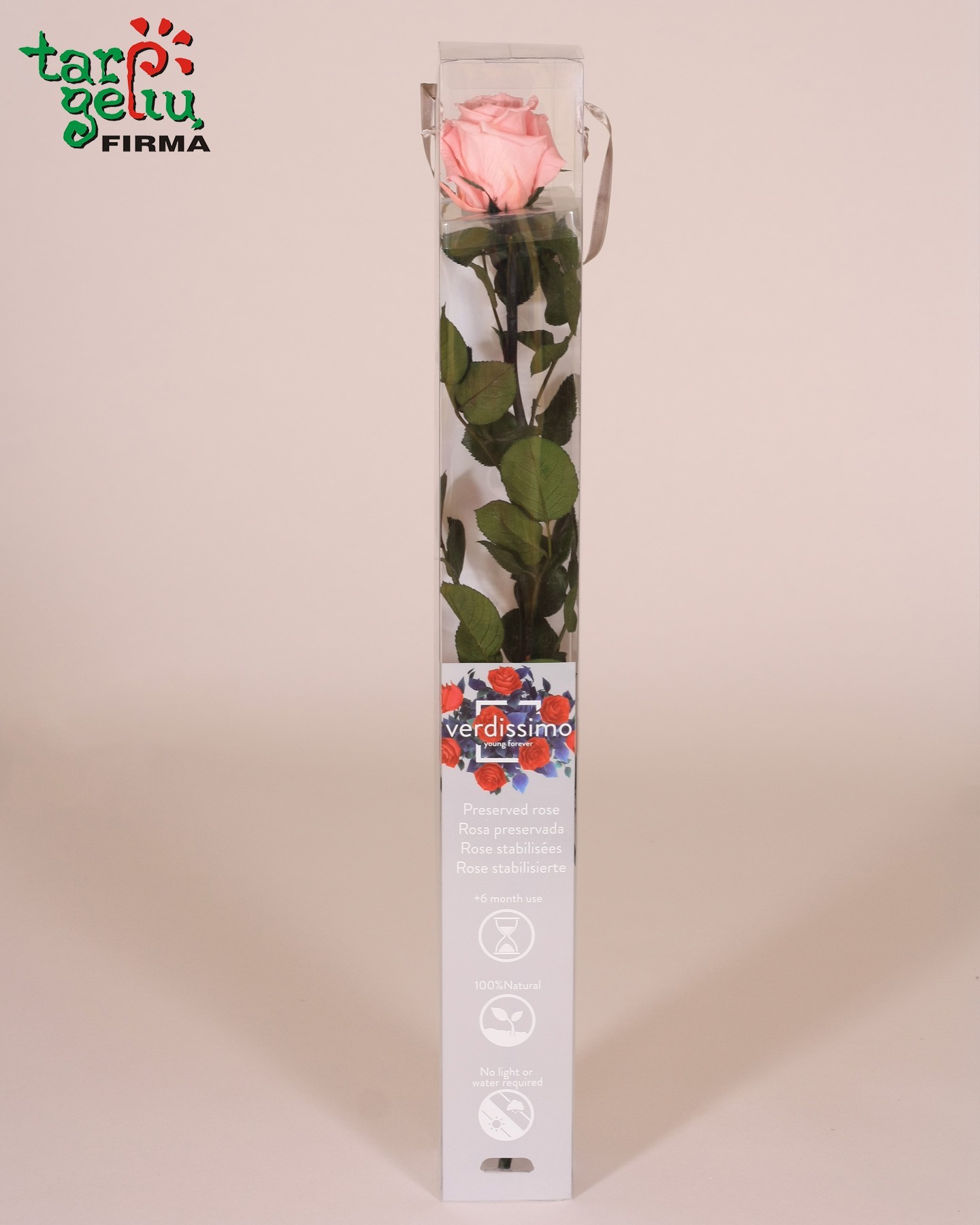 Ilgai žydinti (stabilizuota) rožė