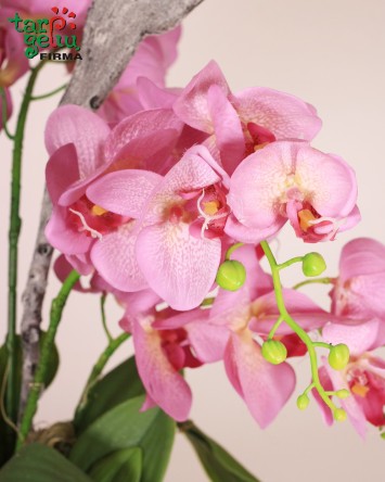 Dirbtinių orchidėjų kompozicija "Pink"