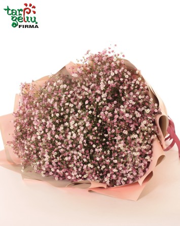 Puokštė su gubojomis