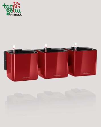 CUBE Glossy augalų sienos...