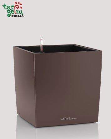 Vazonas CUBE