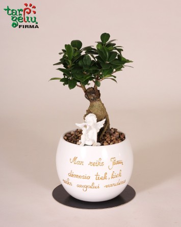 Stilizuotas augalas krikšto...