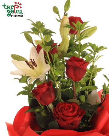 "Įsimylėjęs meškiukas"