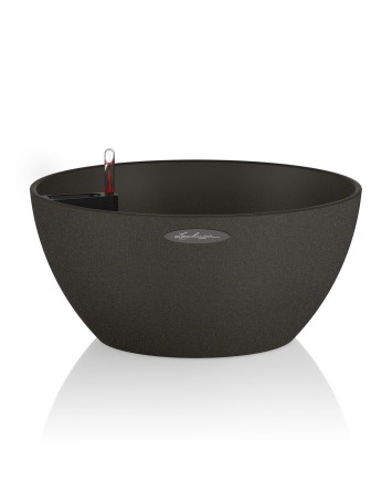 "Miniatiurinis sodas"