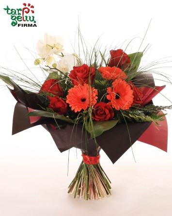 "Aistringoji Karmen"