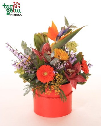 Gėlių dėžutė "Egzotika"