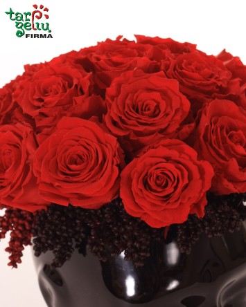 "Tas žydėjimas rožių"