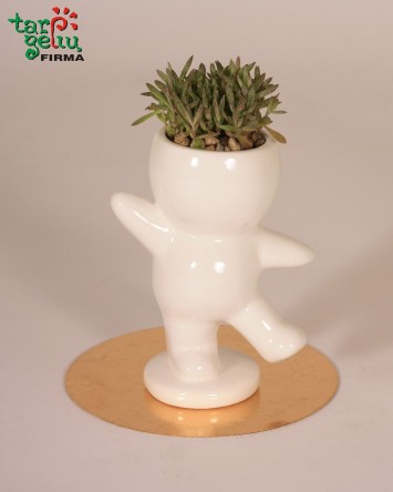 Augalas vazonėlyje "Šypsokis"