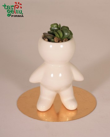 Augalas vazonėlyje "Šypsokis"