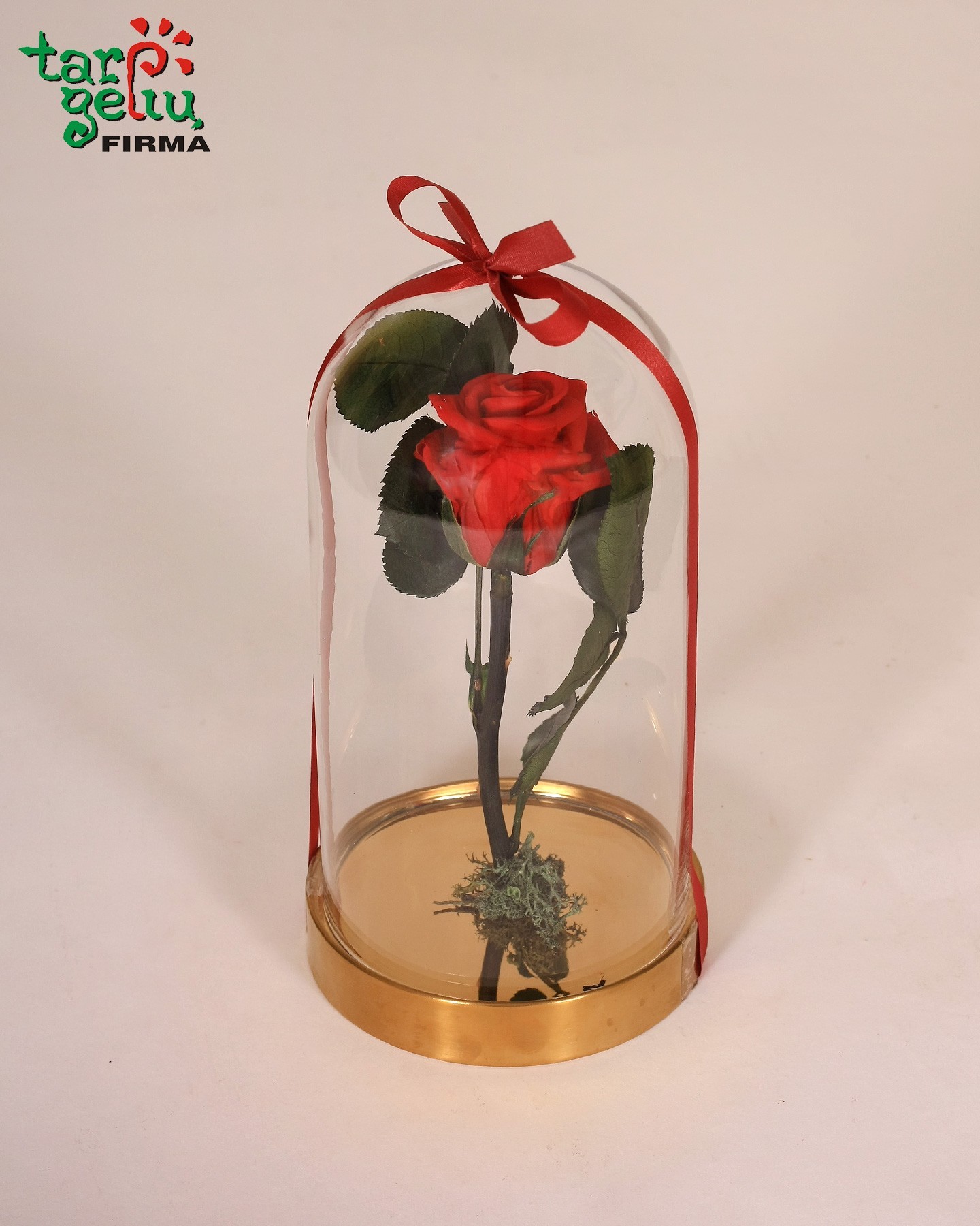 "Mieganti" rožė po stiklu