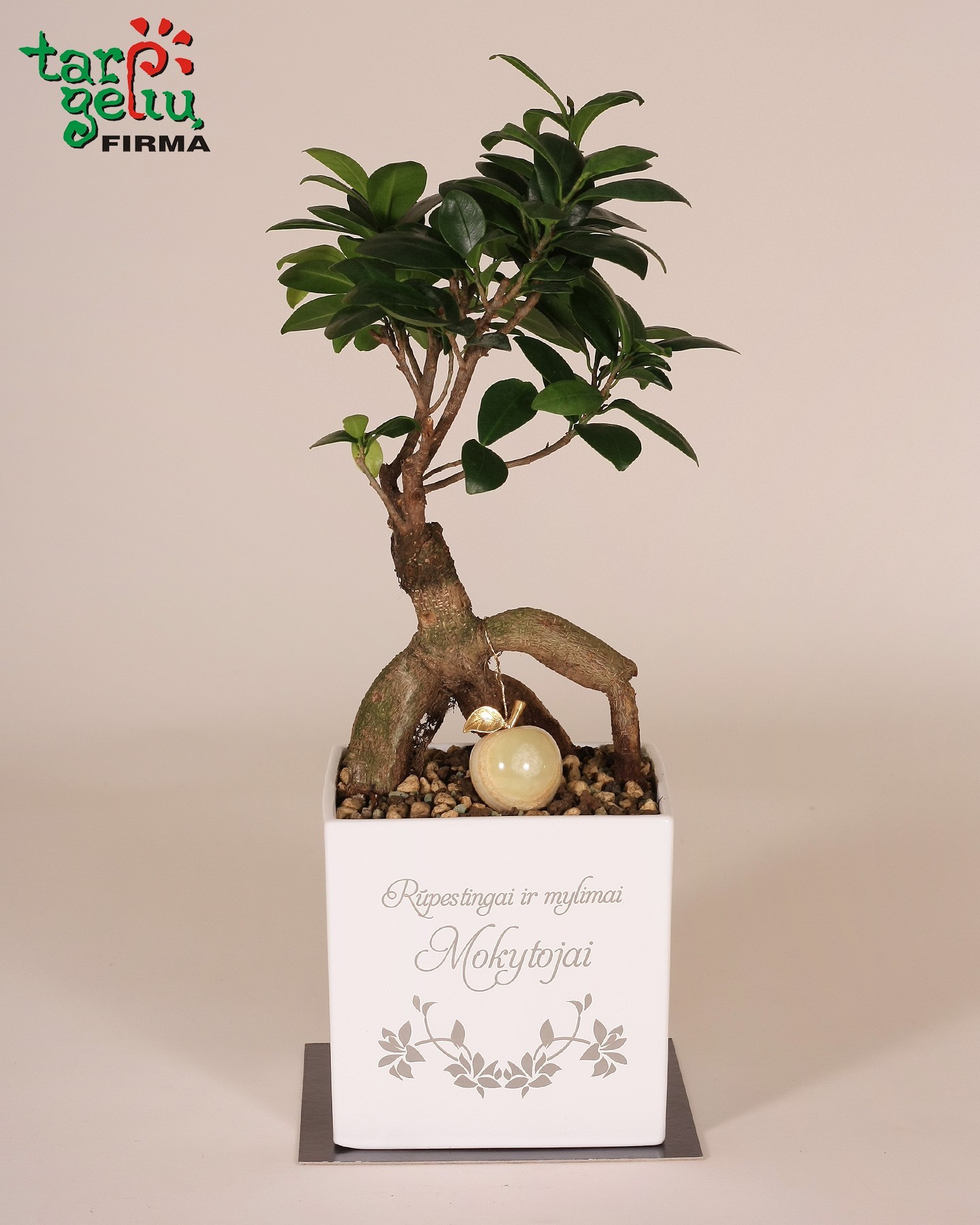 Bonsai "Mylimai mokytojai"