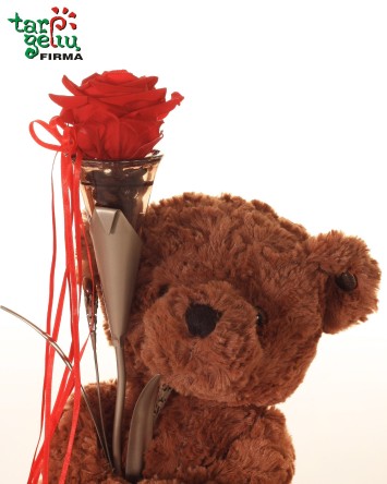 "Meilės rožė Jai"