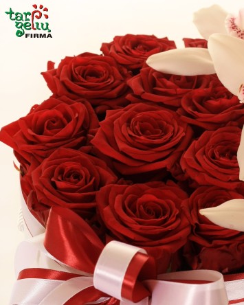 "Švelnus prisilietimas"