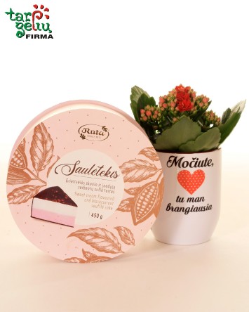 "Močiute, tu man brangiausia"