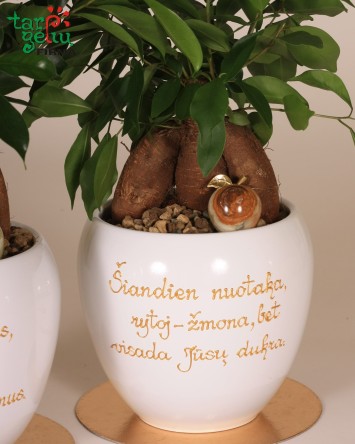 „Priminsi - nepagadinsi“