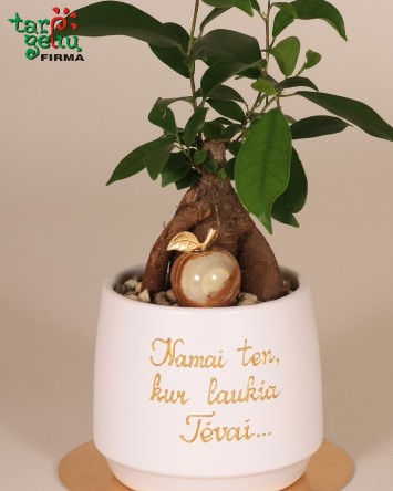 "Namai ten, kur laukia tėvai"