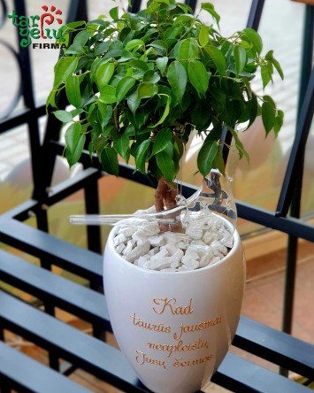 Augalas šeimai su palinkėjimu