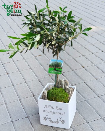 Nuostabi dovana tėvams...