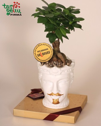 "Pačiam geriausiam va(L)dovui"