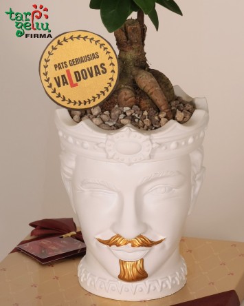 "Pačiam geriausiam va(L)dovui"