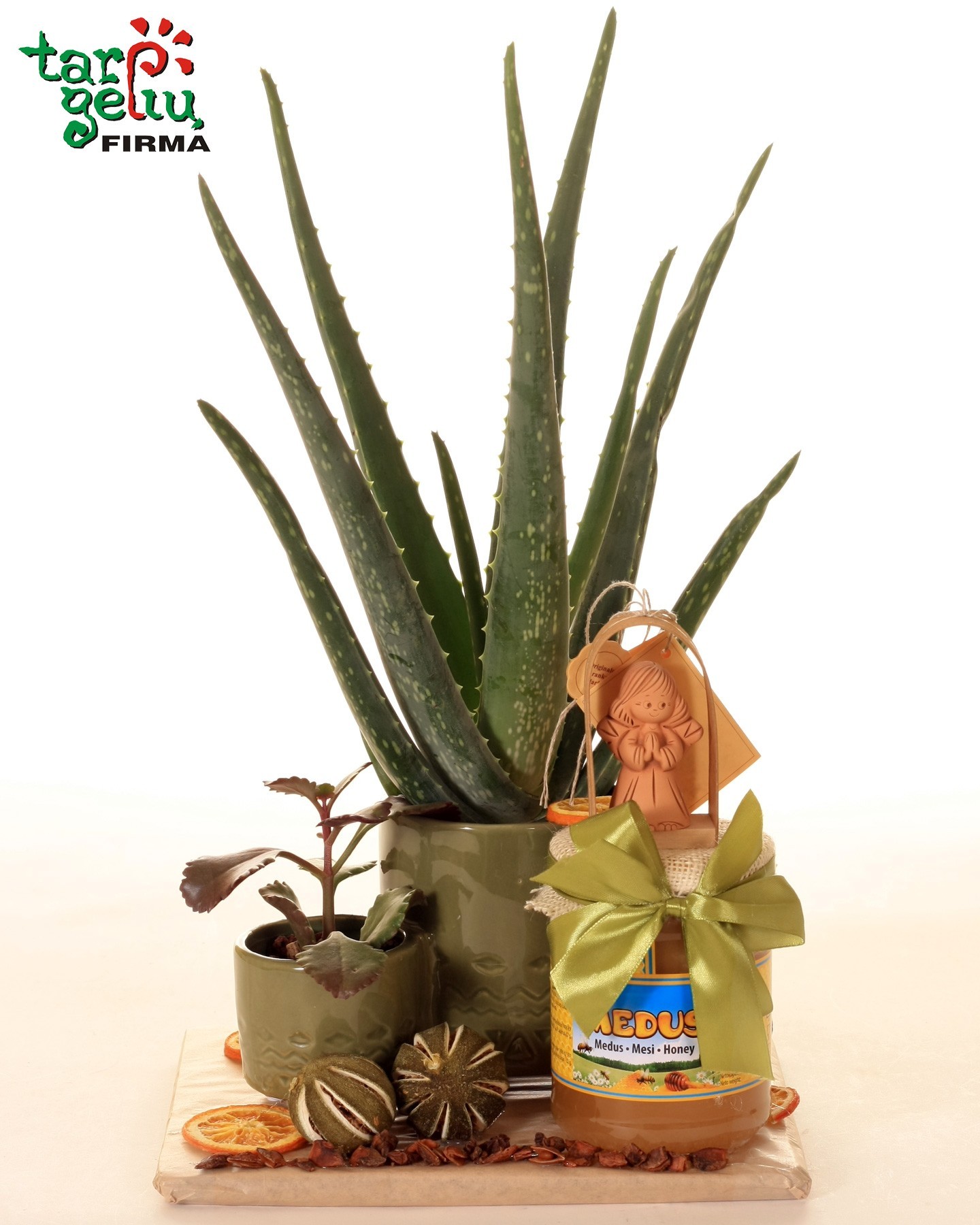 Gamtos dovana sveikatai