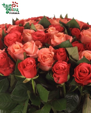 Rožių puokštė "Sveikinimai"